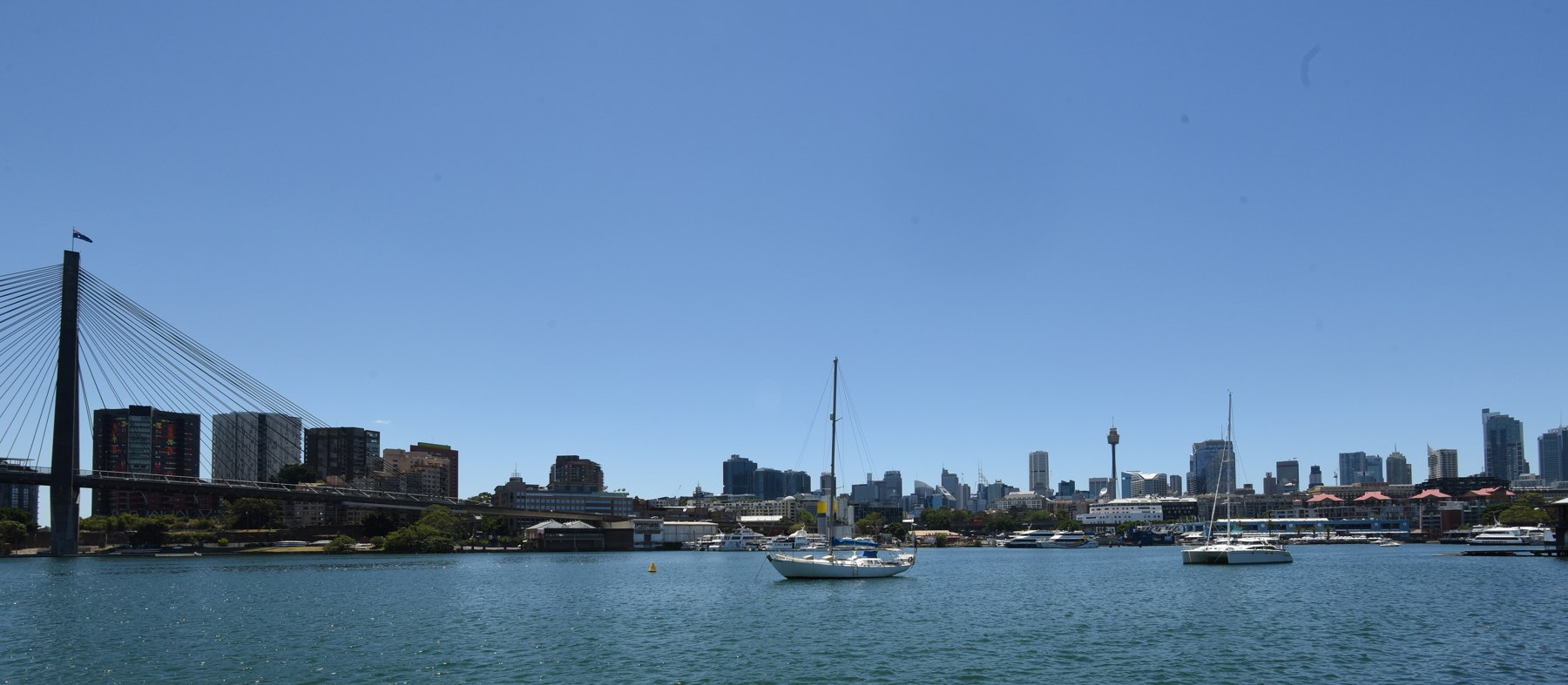 Boats on Blackwattle Bay, with Anzac Bridge and Sydney’s skyline viewed from Glebe
